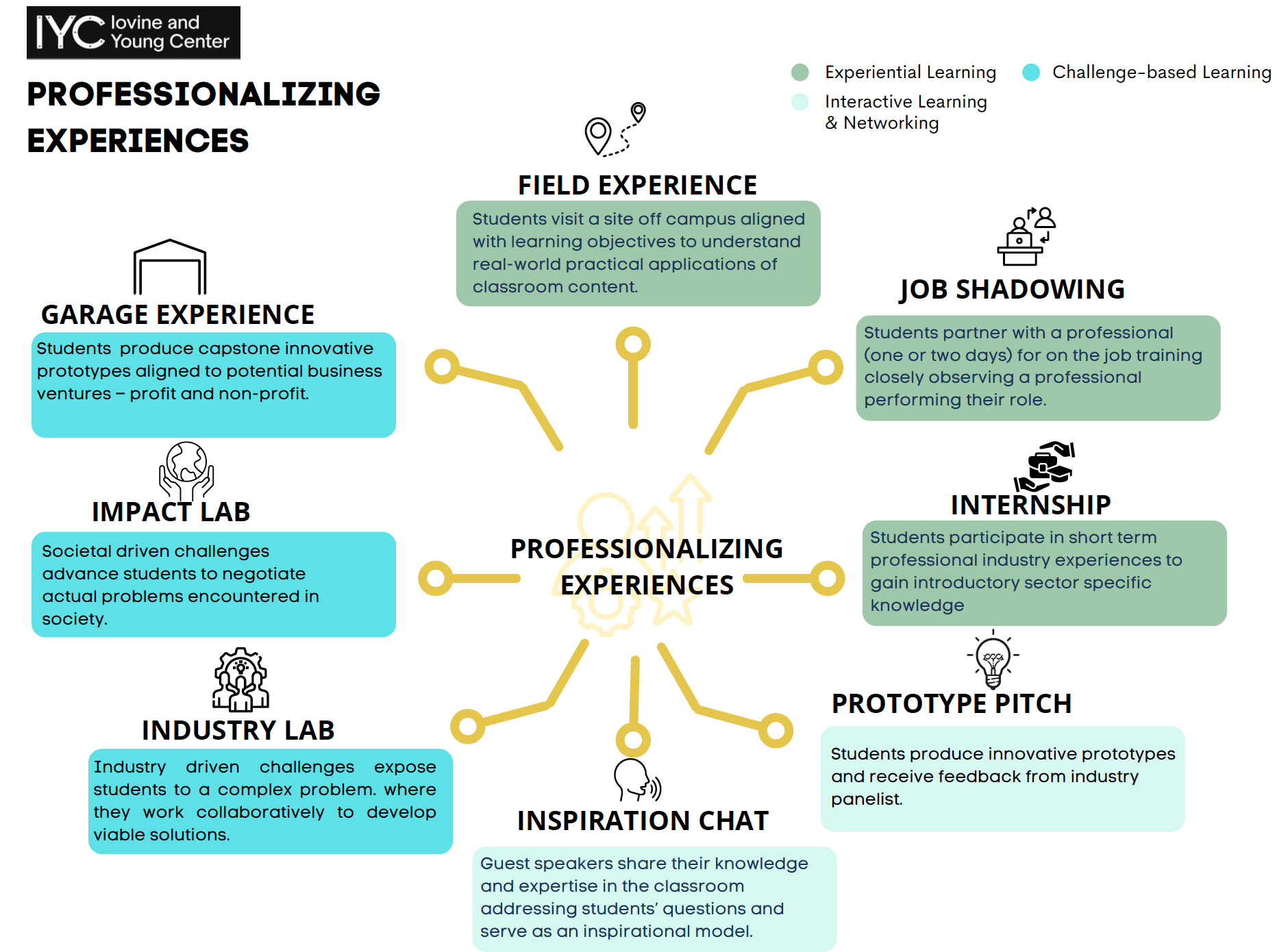 graphic of professionalizing experiences